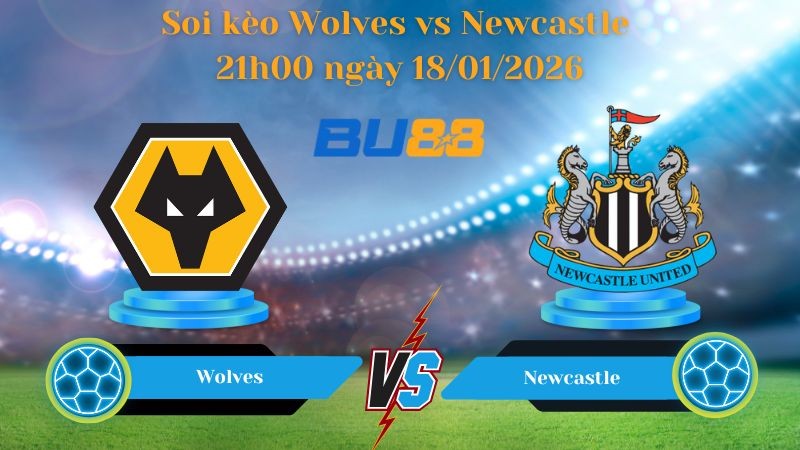 BU88 Nhận định bóng đá Wolves vs Newcastle 21h00 ngày 18/01/2026 - Ngoại Hạng Anh