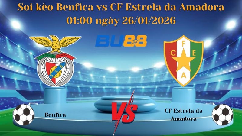 BU88 Nhận định bóng đá Benfica vs CF Estrela da Amadora 01:00 ngày 26/01/2026 - VĐQG Bồ Đào Nha